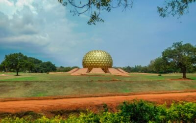 The Miracle Called Life